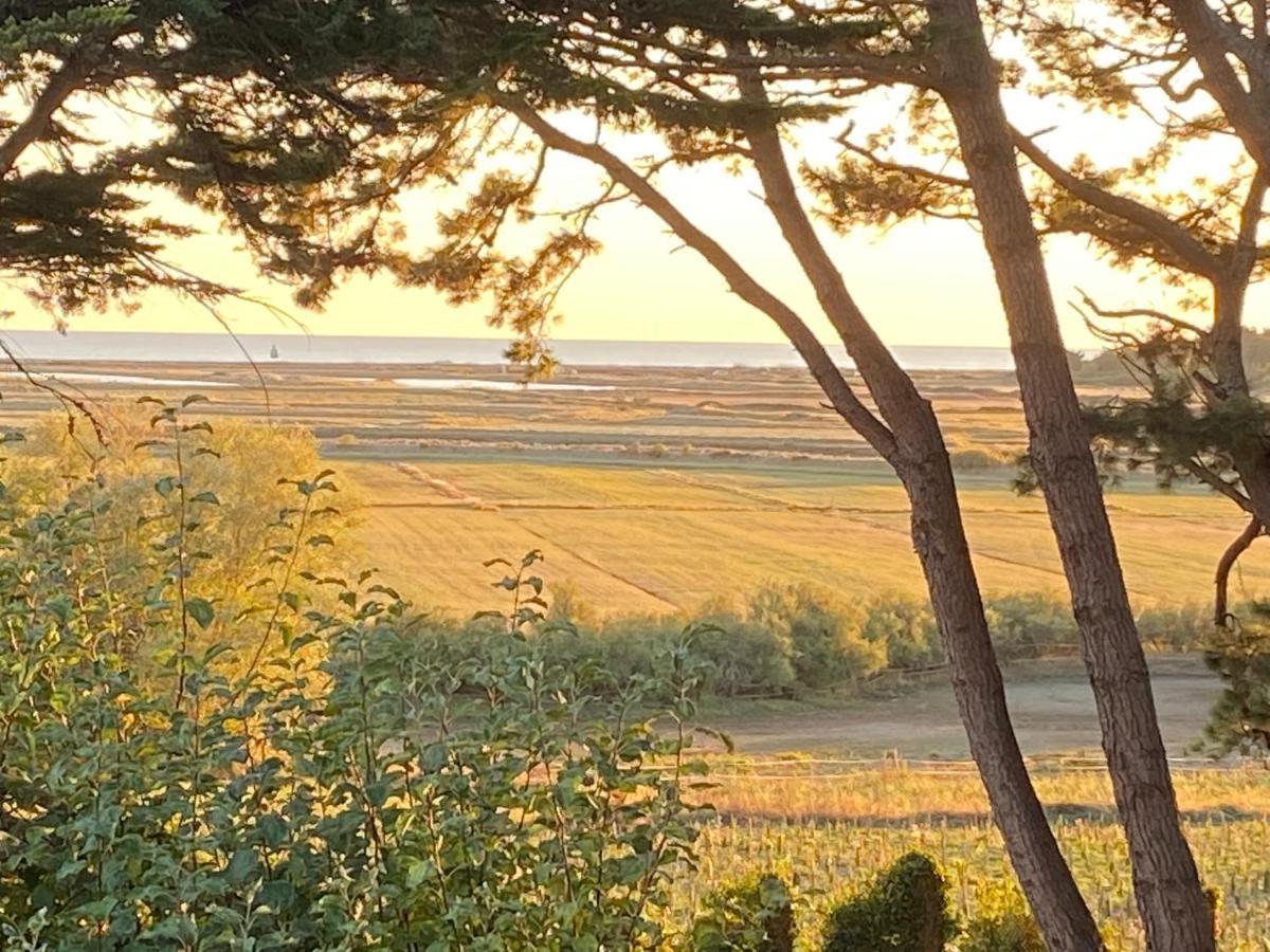 Villa Vieilles Vignes Vue Mer Billiers Buitenkant foto