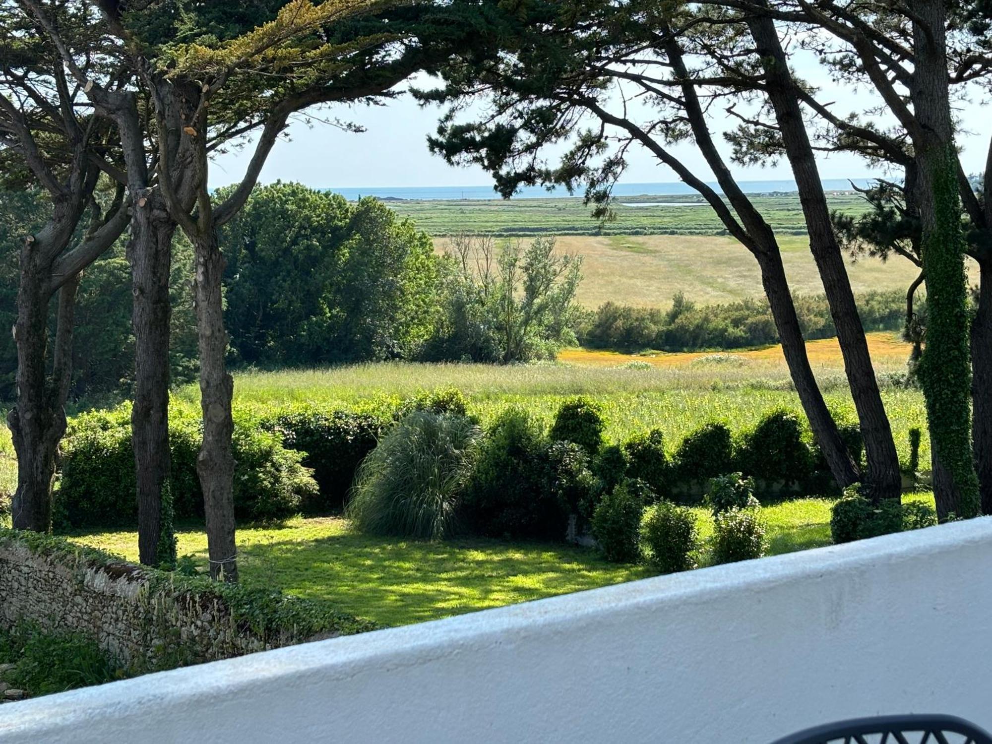 Villa Vieilles Vignes Vue Mer Billiers Buitenkant foto
