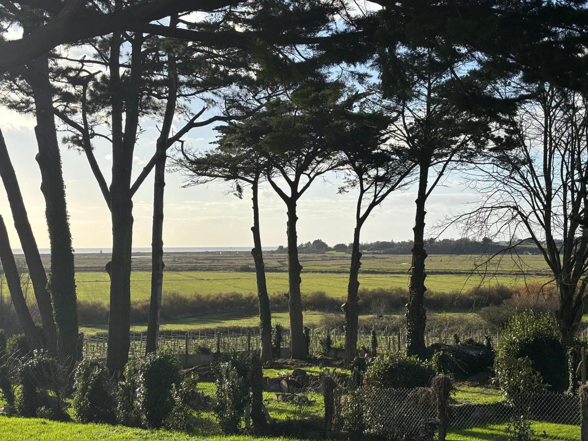 Villa Vieilles Vignes Vue Mer Billiers Buitenkant foto